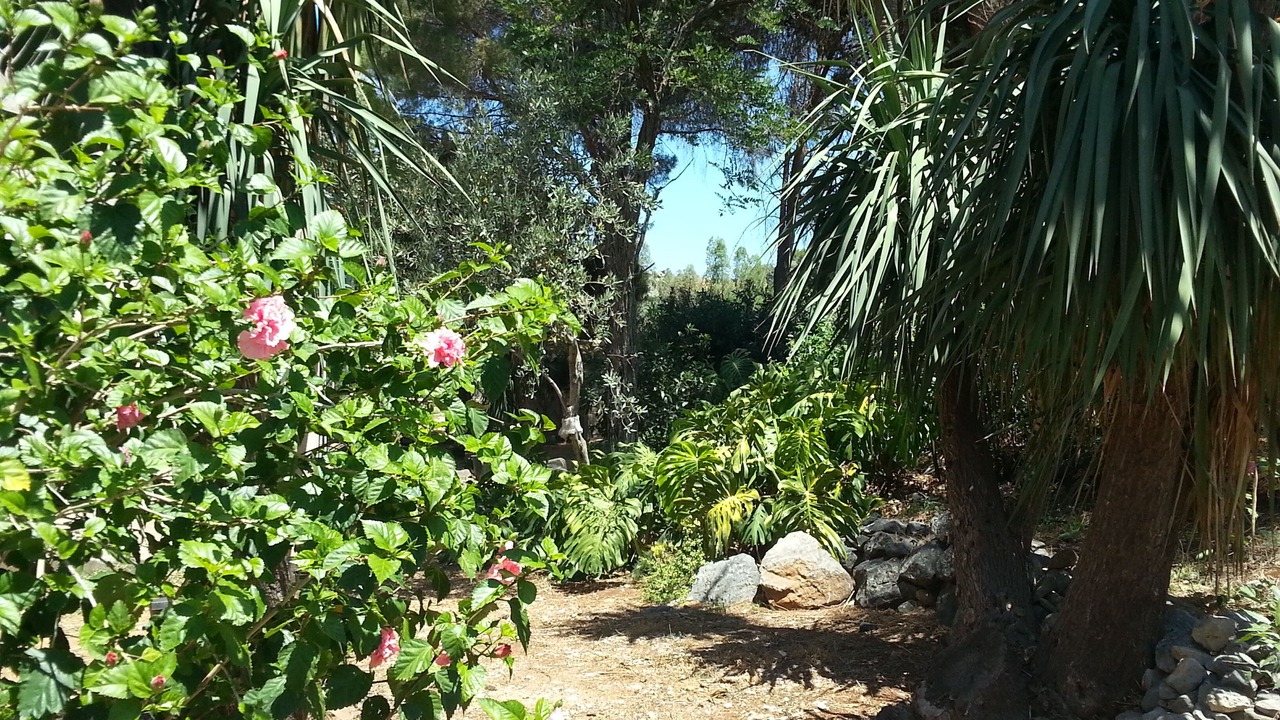 Photo of Outdoor in Capaci