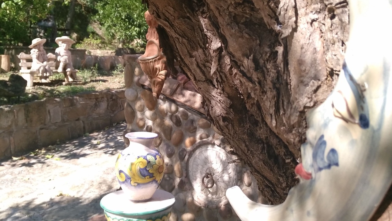 Photo of Outdoor in Reitano