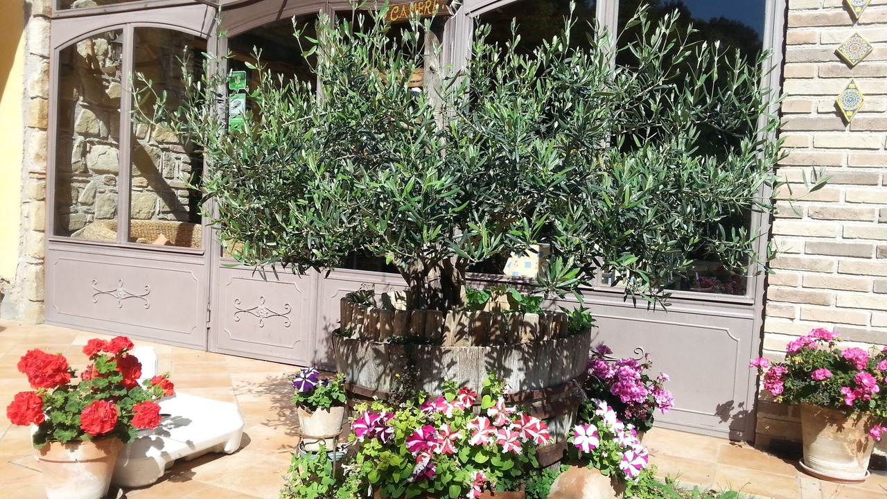Photo of Outdoor in Reitano