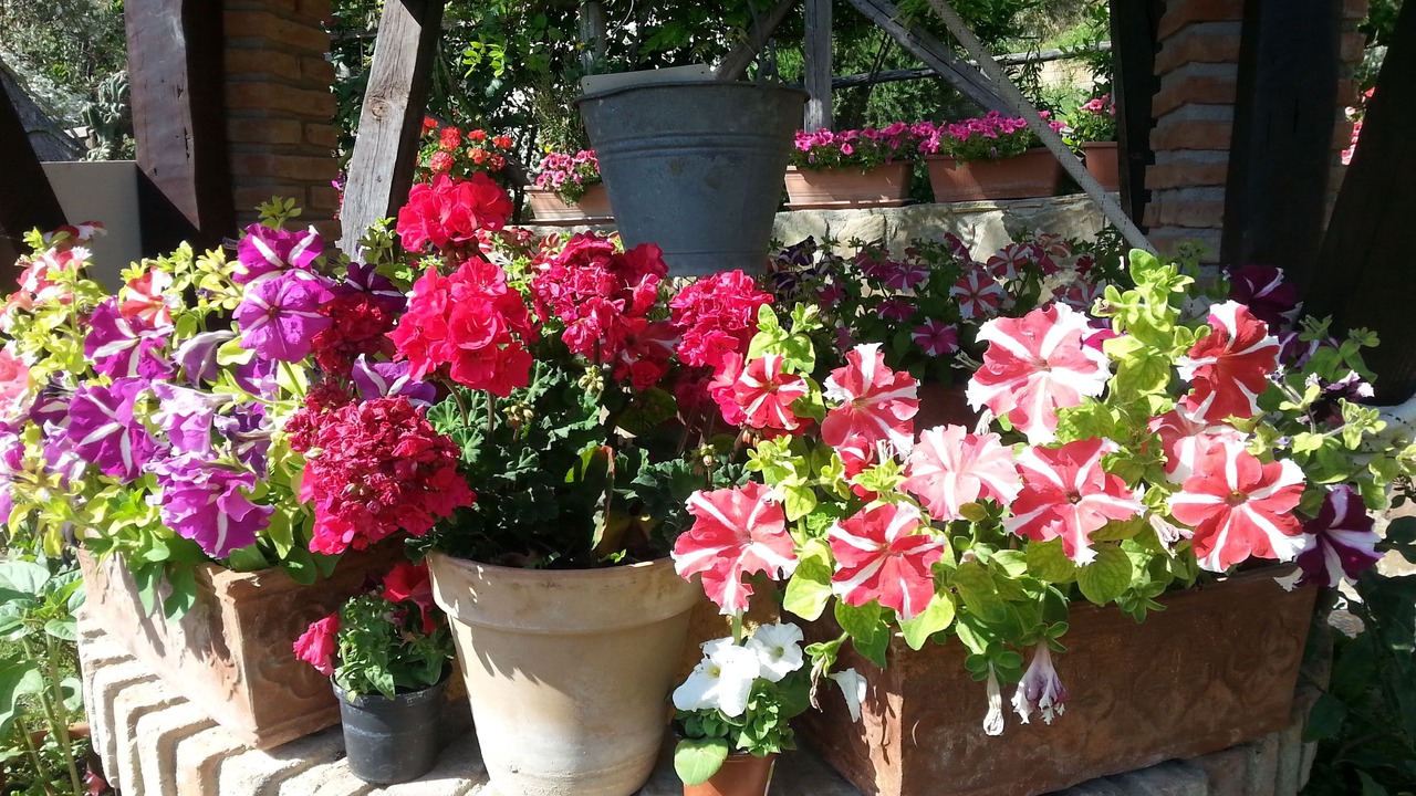 Photo of Outdoor in Reitano
