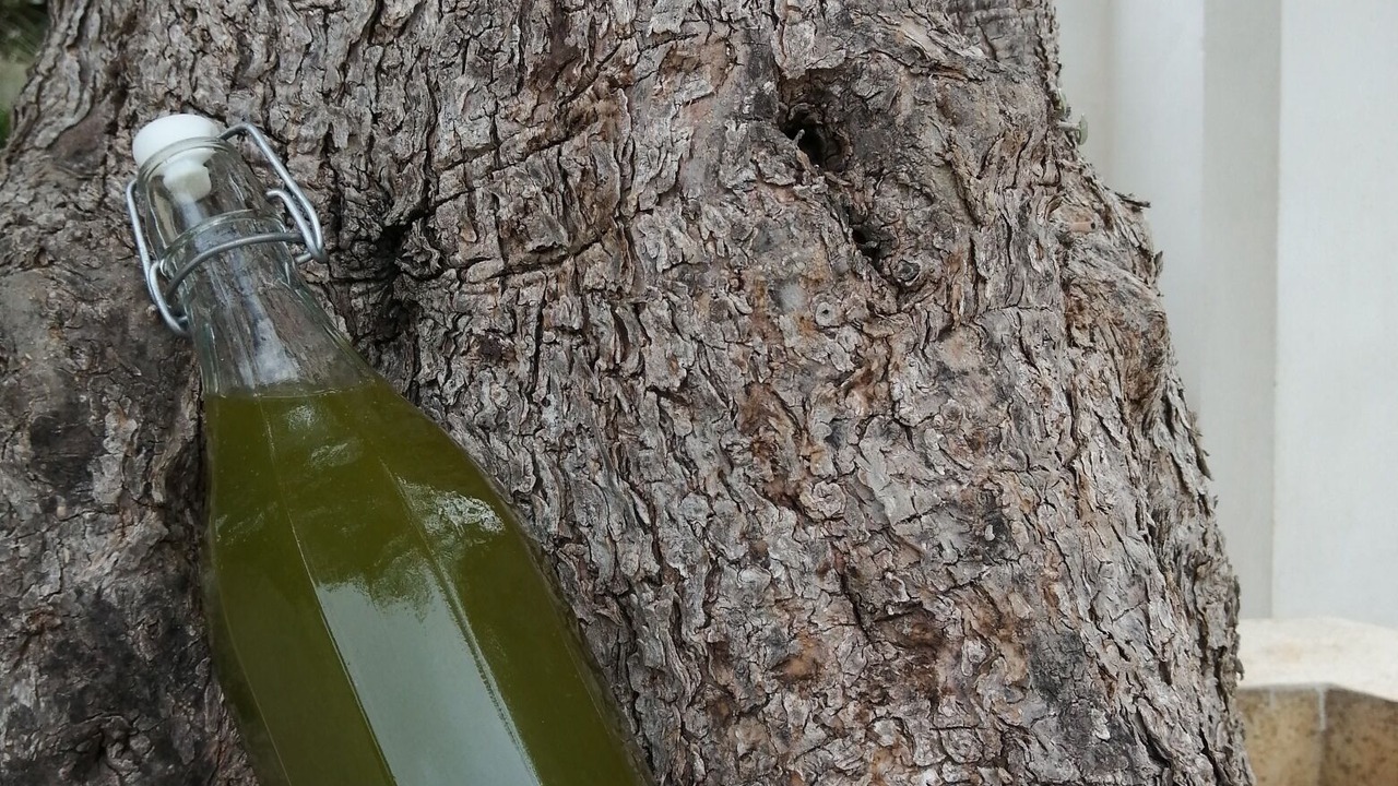 Photo of Outdoor in San Lorenzo