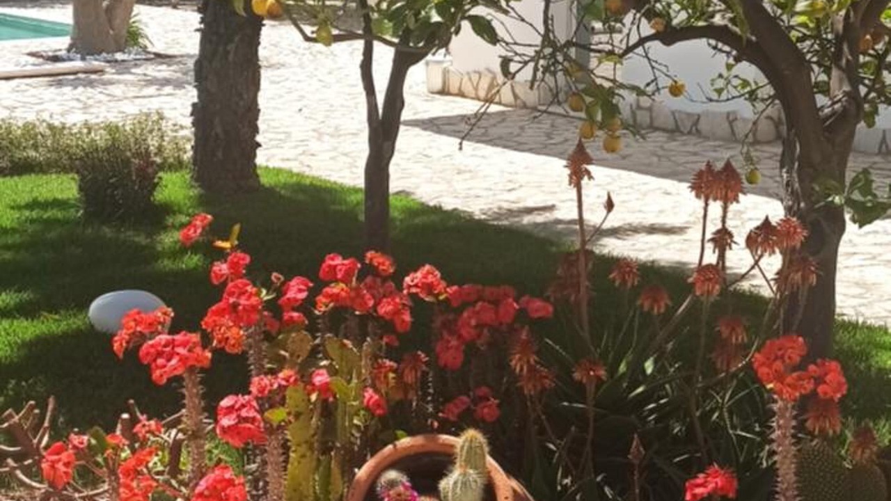 Photo of Outdoor in Porto Empedocle