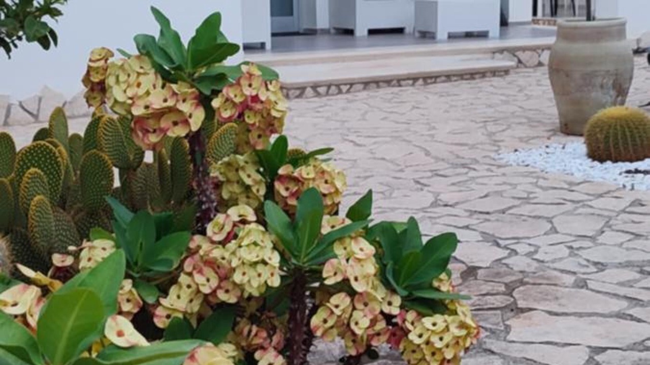 Photo of Outdoor in Porto Empedocle