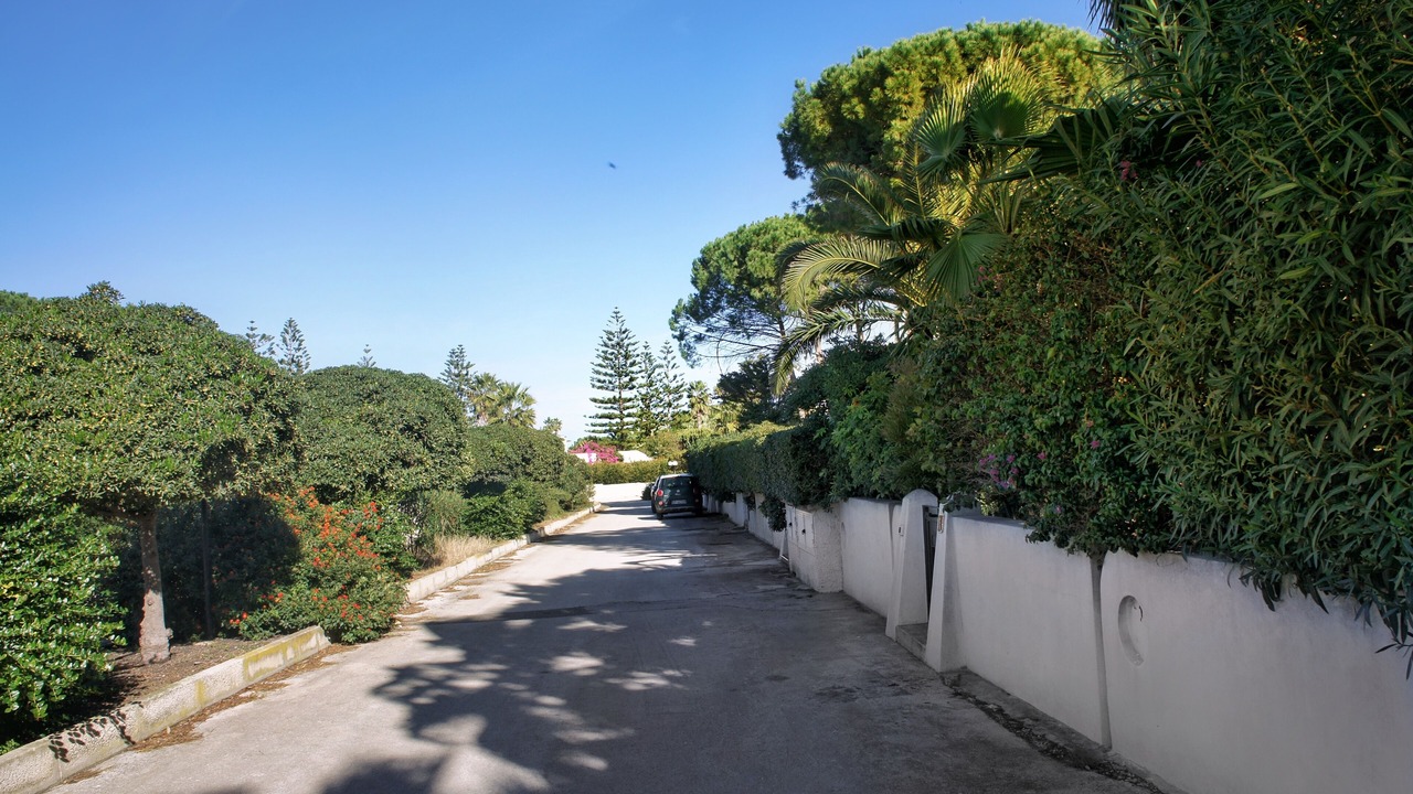 Photo of Outdoor in San Lorenzo