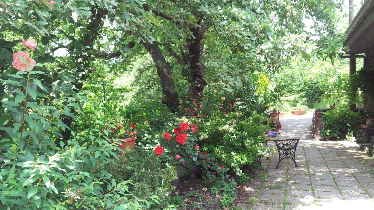 Photo of Outdoor in Sant'Alfio