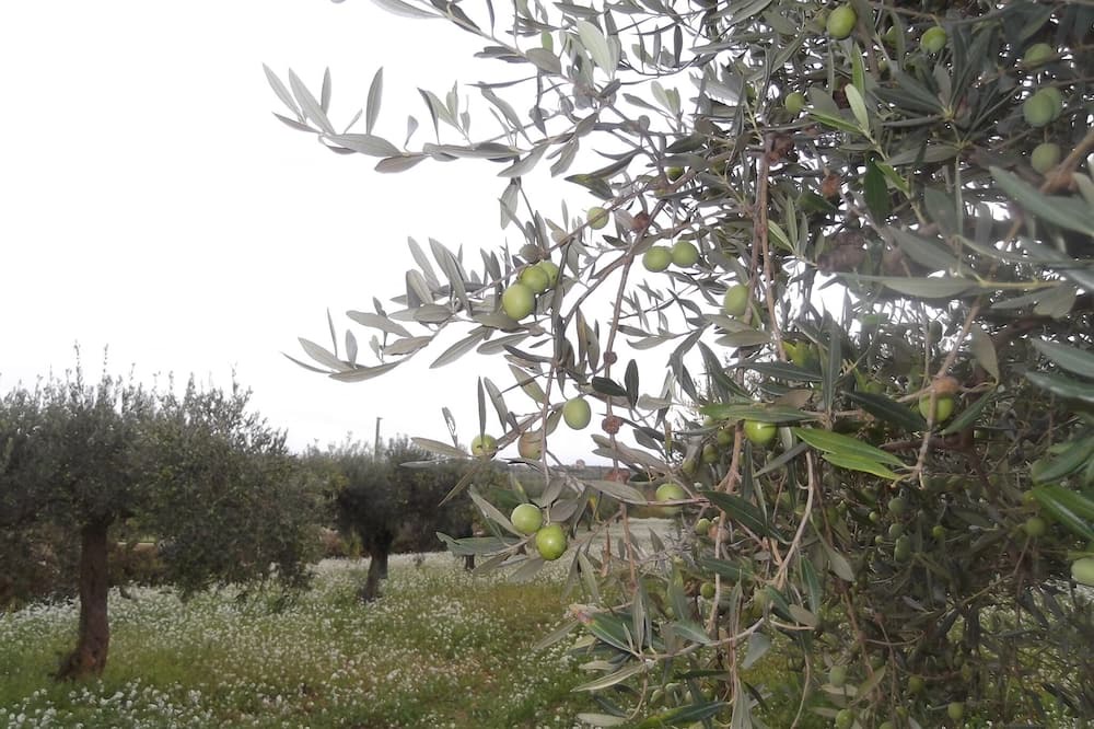 Photo of Outdoor in Sciacca