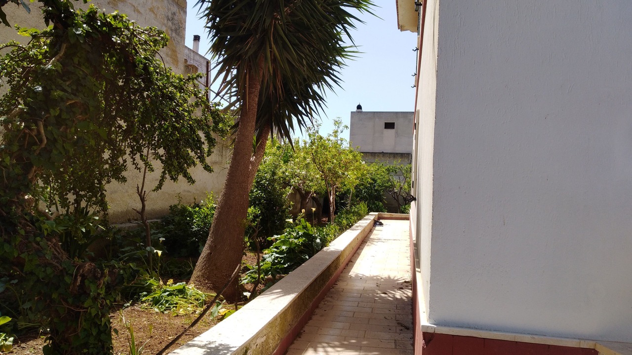 Photo of Outdoor in San Francesco