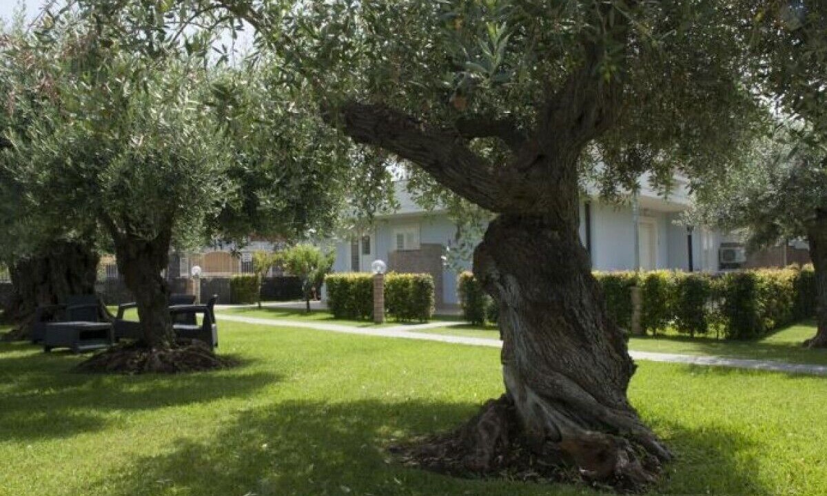 Photo of Others in Fondachello