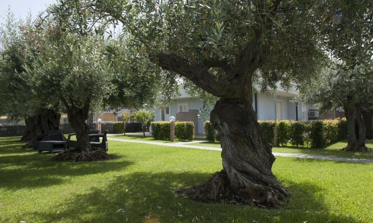 Photo of Outdoor in Fondachello