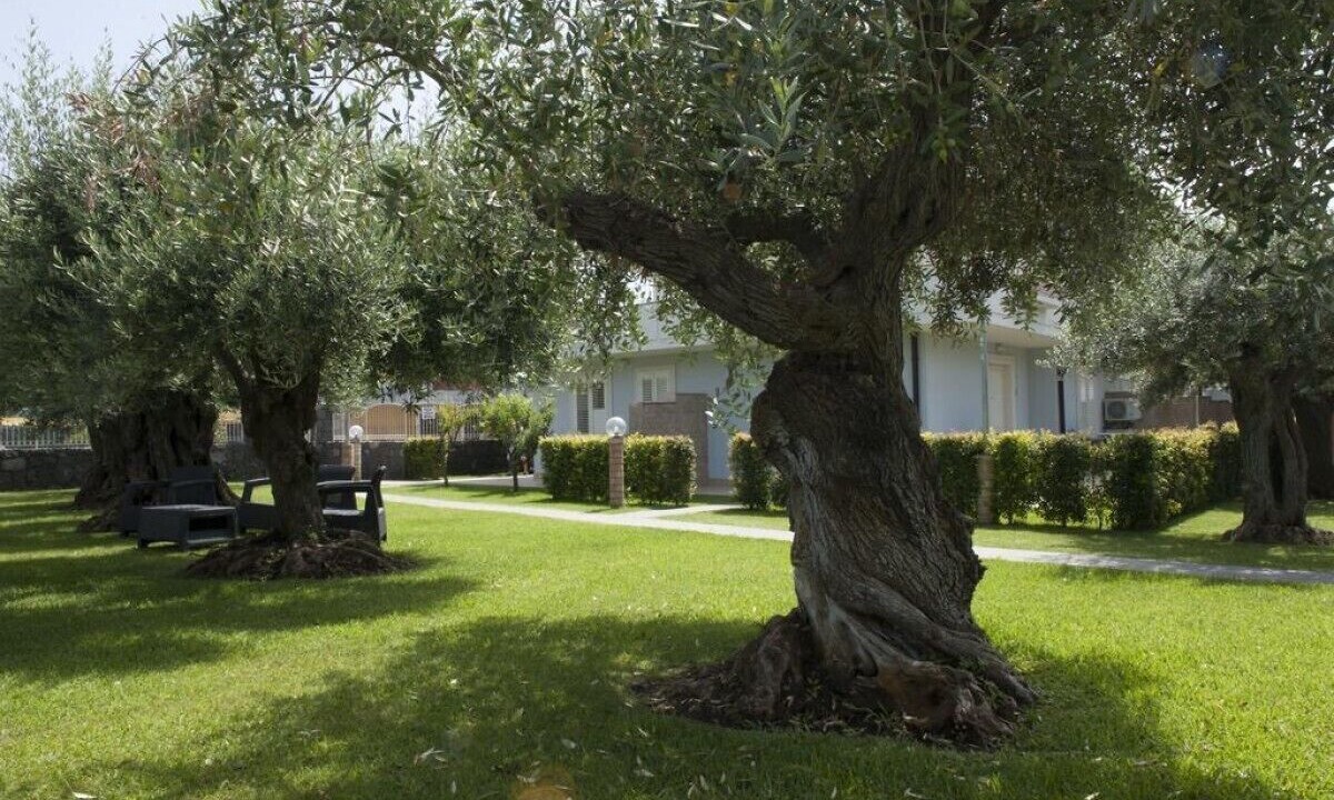 Photo of Outdoor in Fondachello