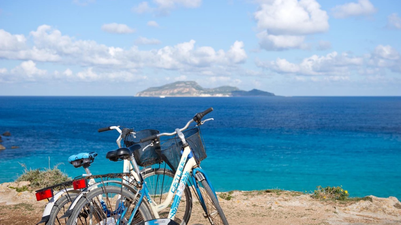 Photo of Others in Favignana