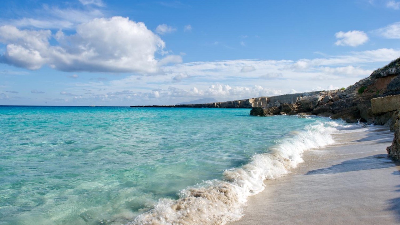 Photo of Others in Favignana