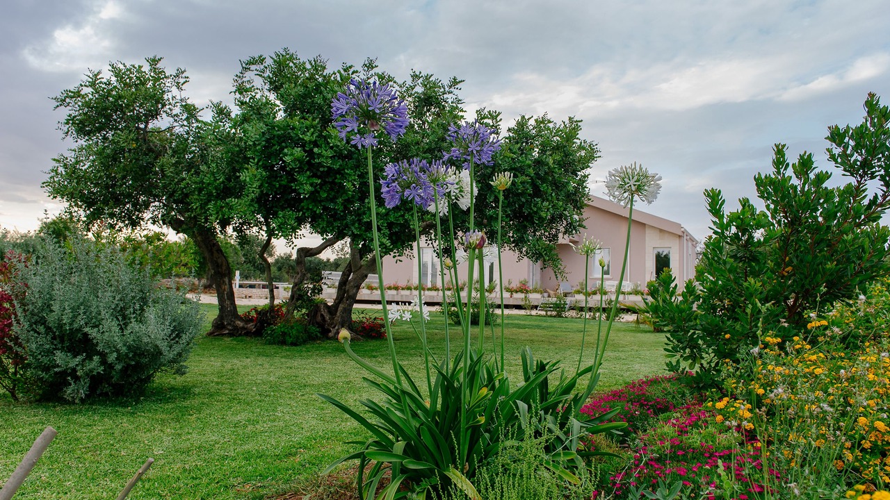Photo of Outdoor in Scicli
