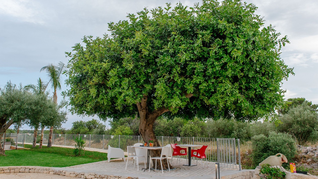 Photo of Outdoor in Scicli