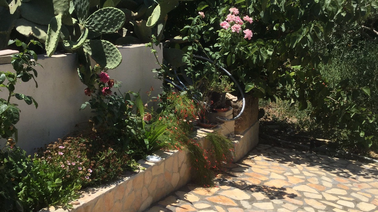 Photo of Outdoor in Marsala