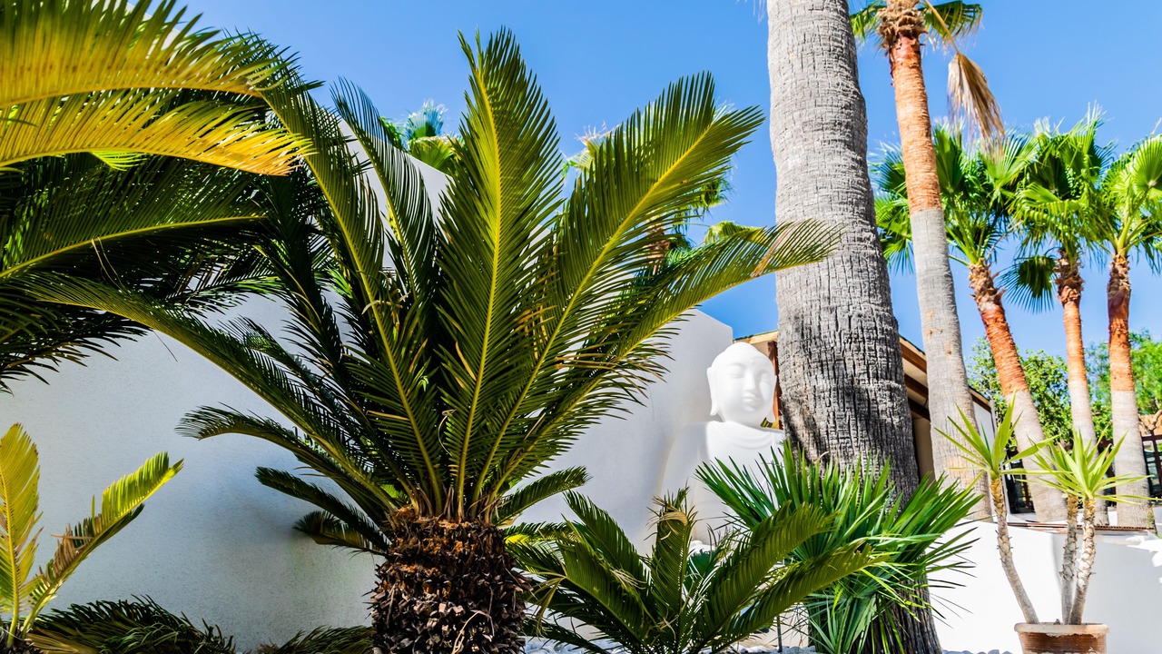 Photo of Outdoor in Favara