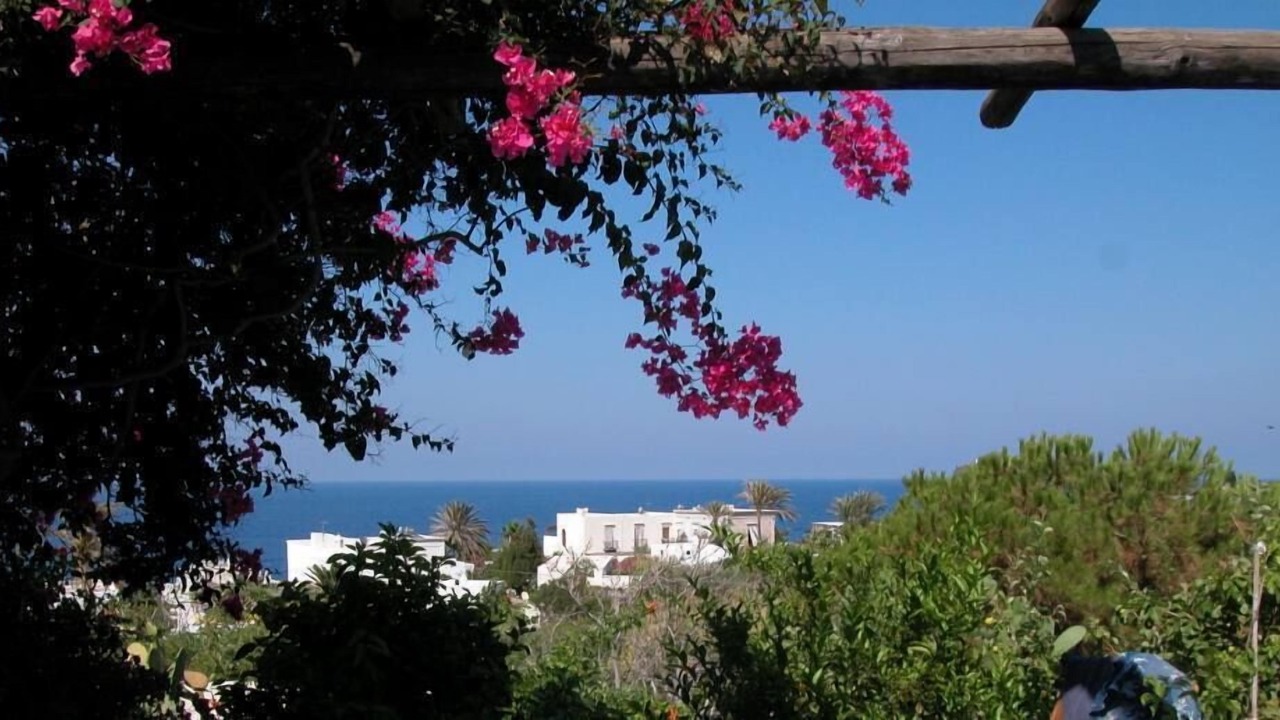 Photo of Outdoor in Stromboli