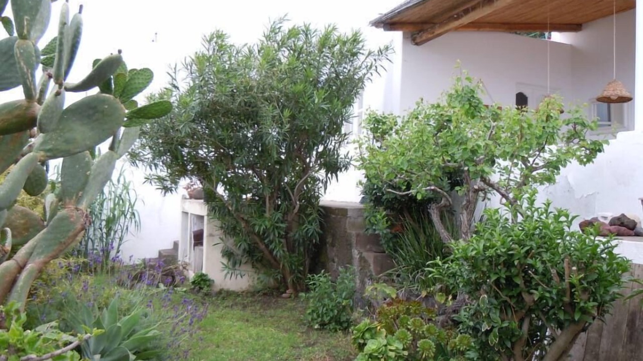 Photo of Outdoor in Stromboli