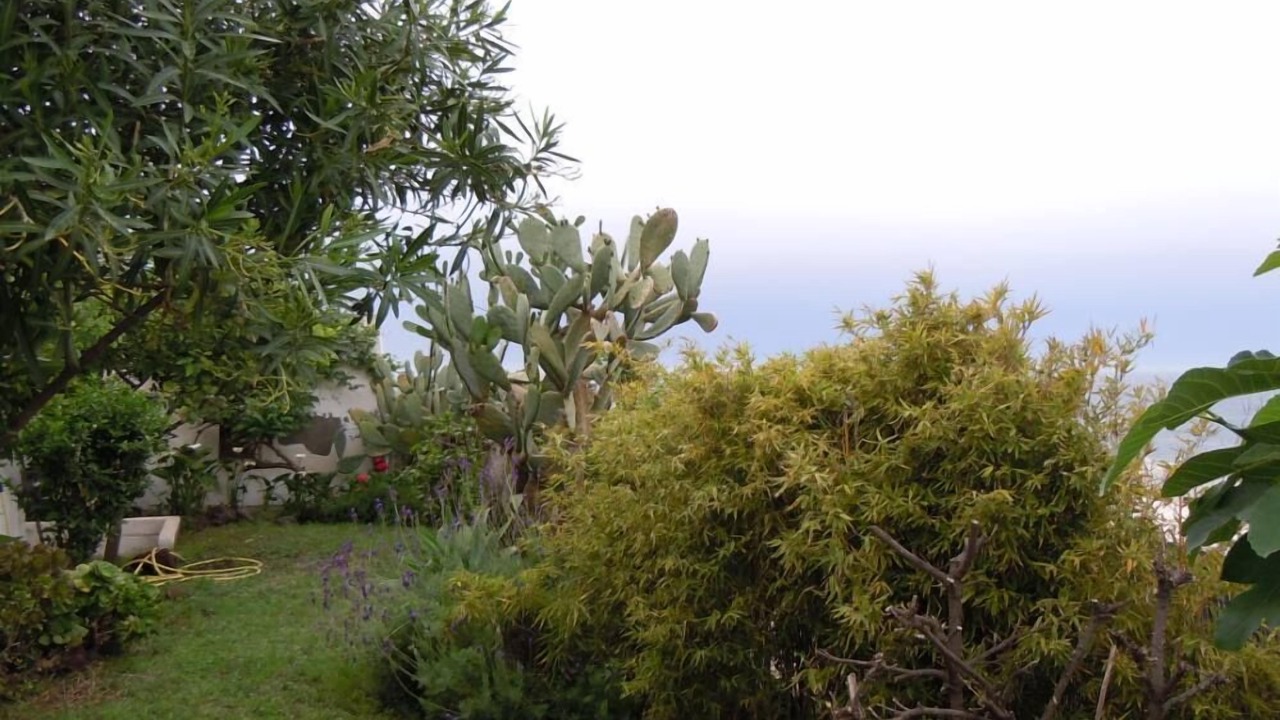 Photo of Outdoor in Stromboli