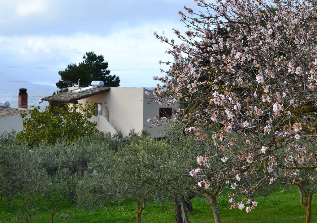 Photo of Outdoor in Buseto Palizzolo