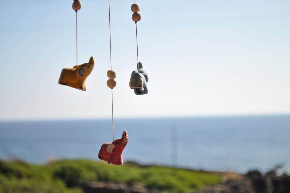 Photo of Others in Pantelleria