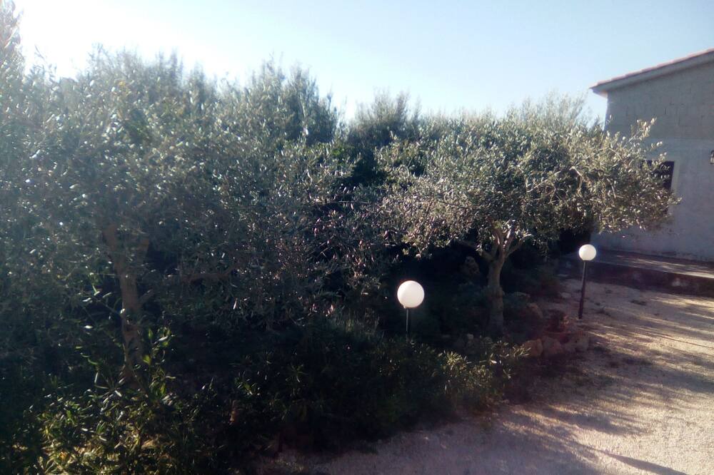 Photo of Outdoor in Noto