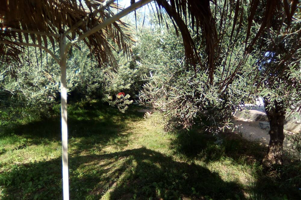 Photo of Outdoor in Noto
