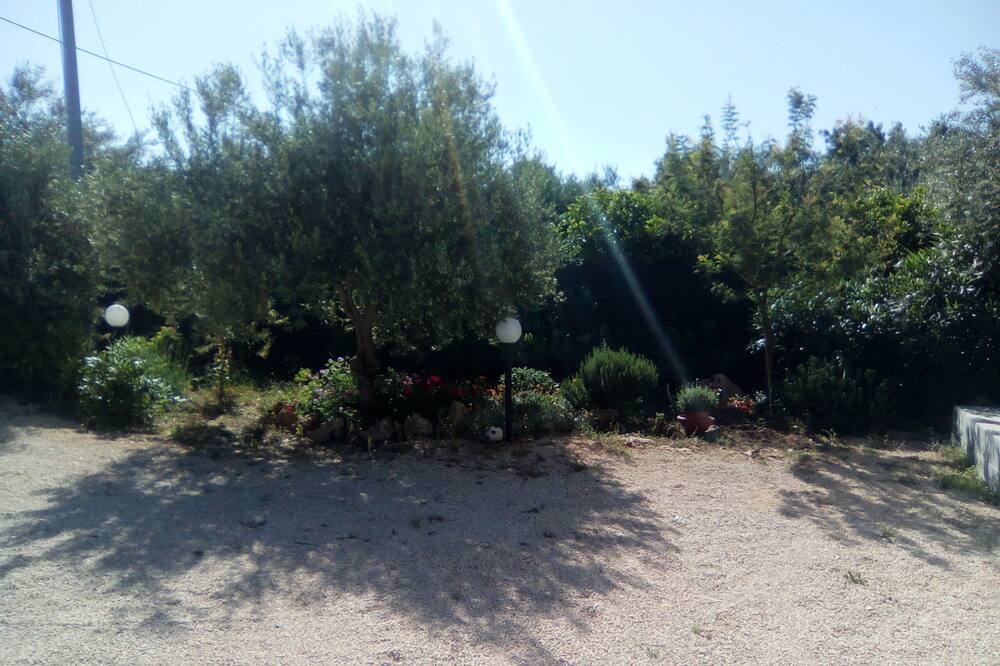 Photo of Outdoor in Noto