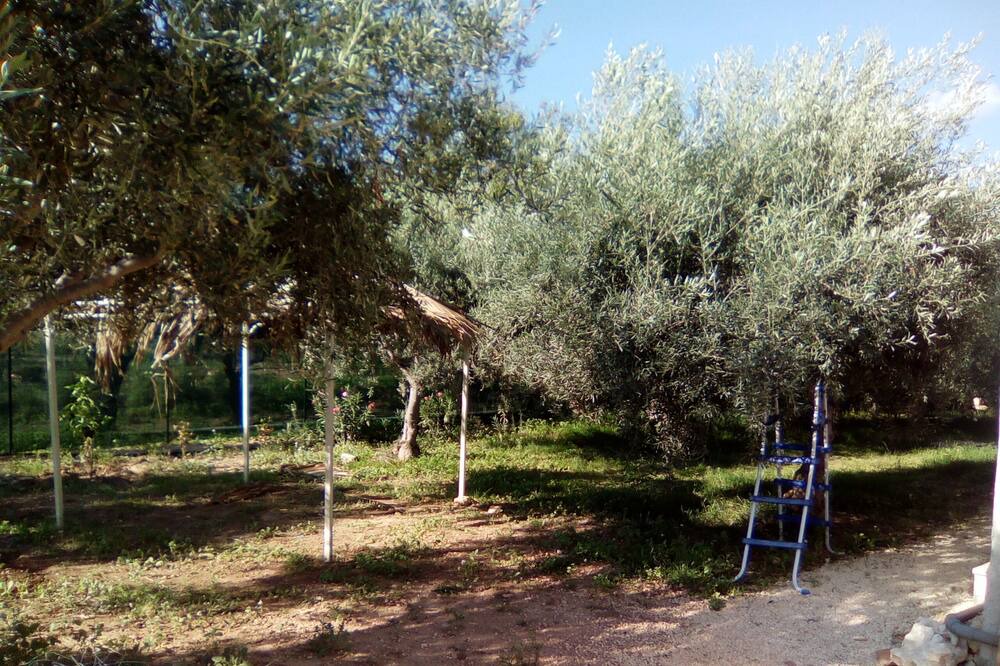 Photo of Outdoor in Noto