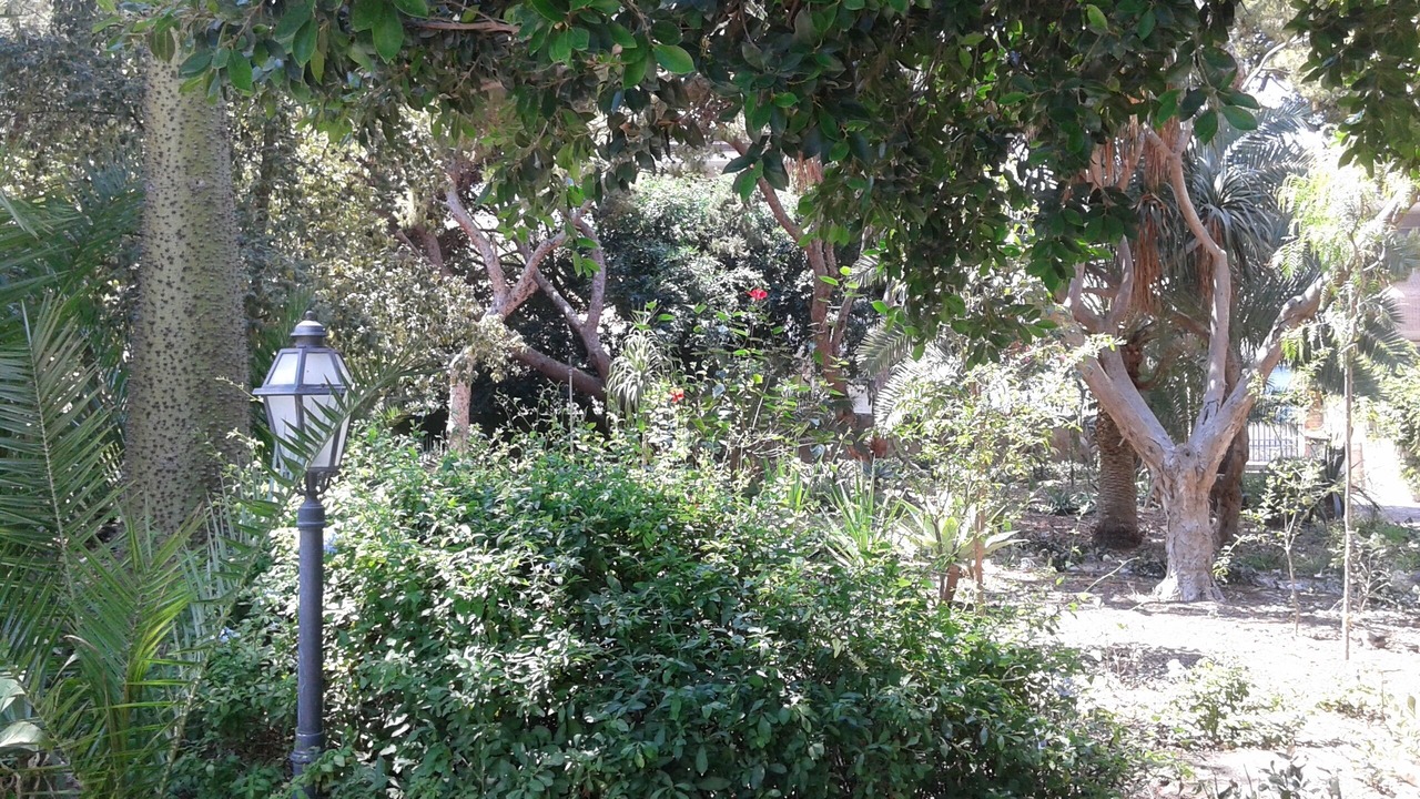 Photo of Outdoor in Capo d'Orlando