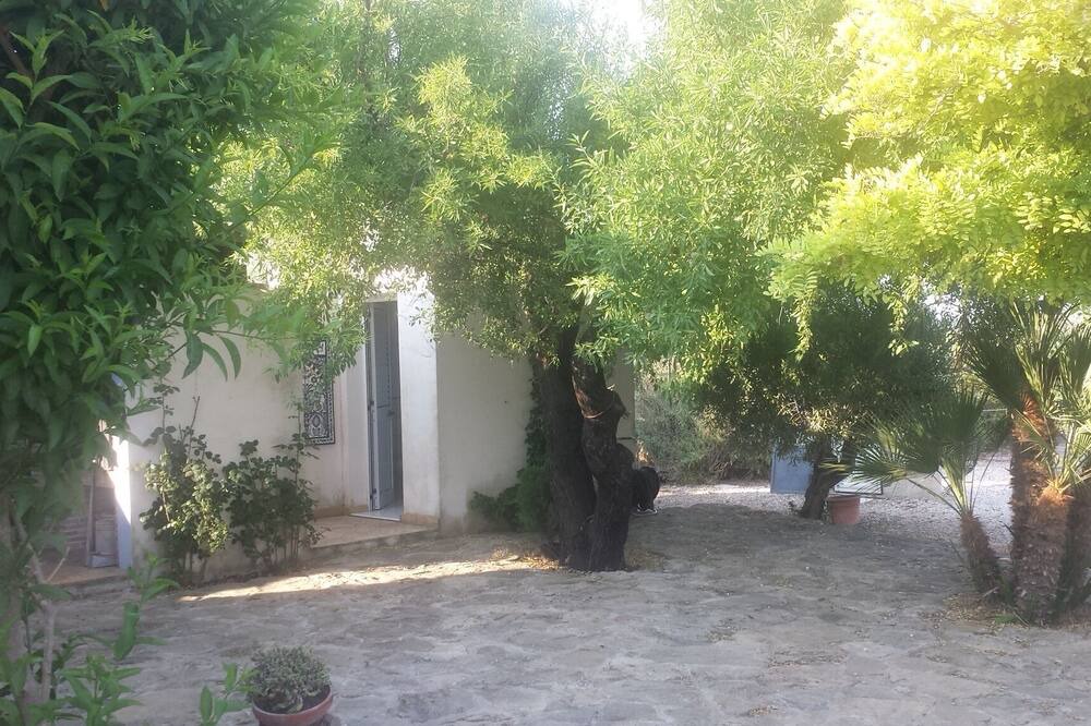 Photo of Outdoor in Porto Palo