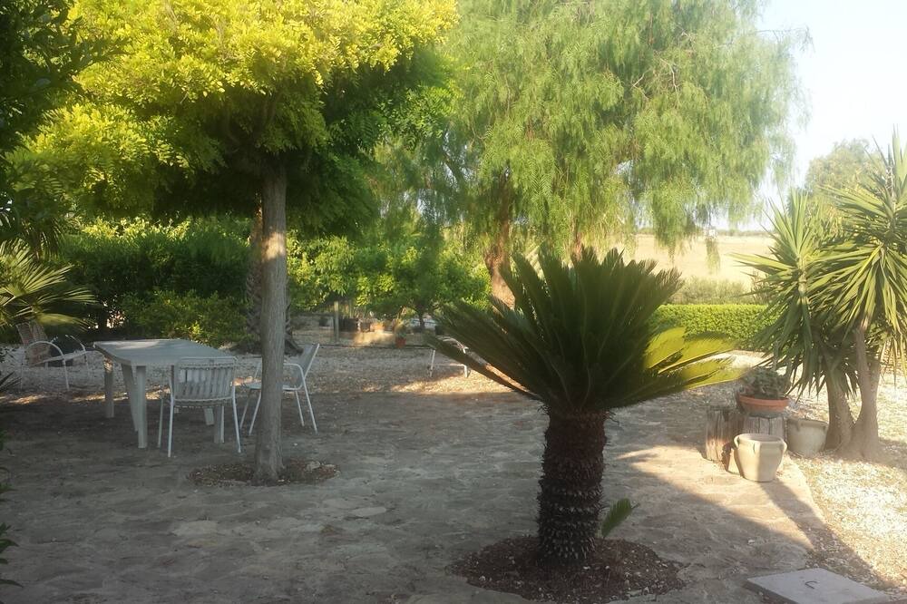 Photo of Outdoor in Porto Palo