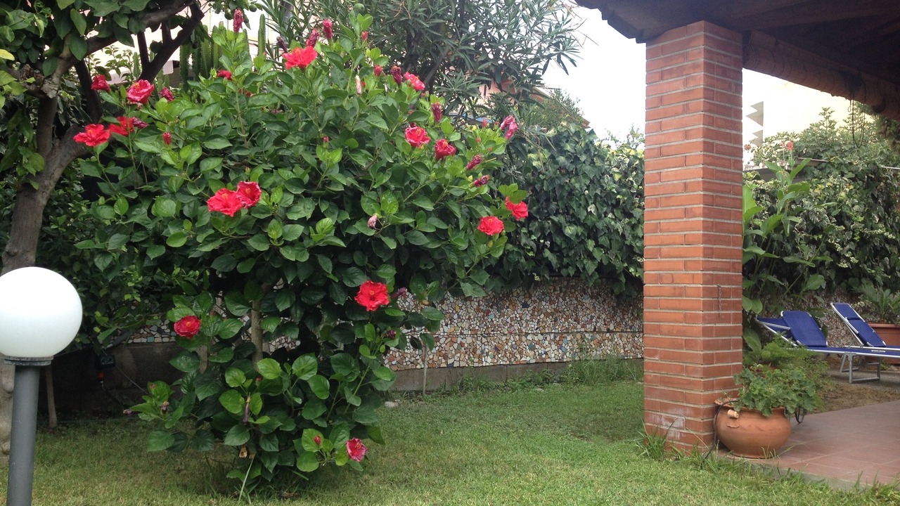 Photo of Outdoor in Recanati