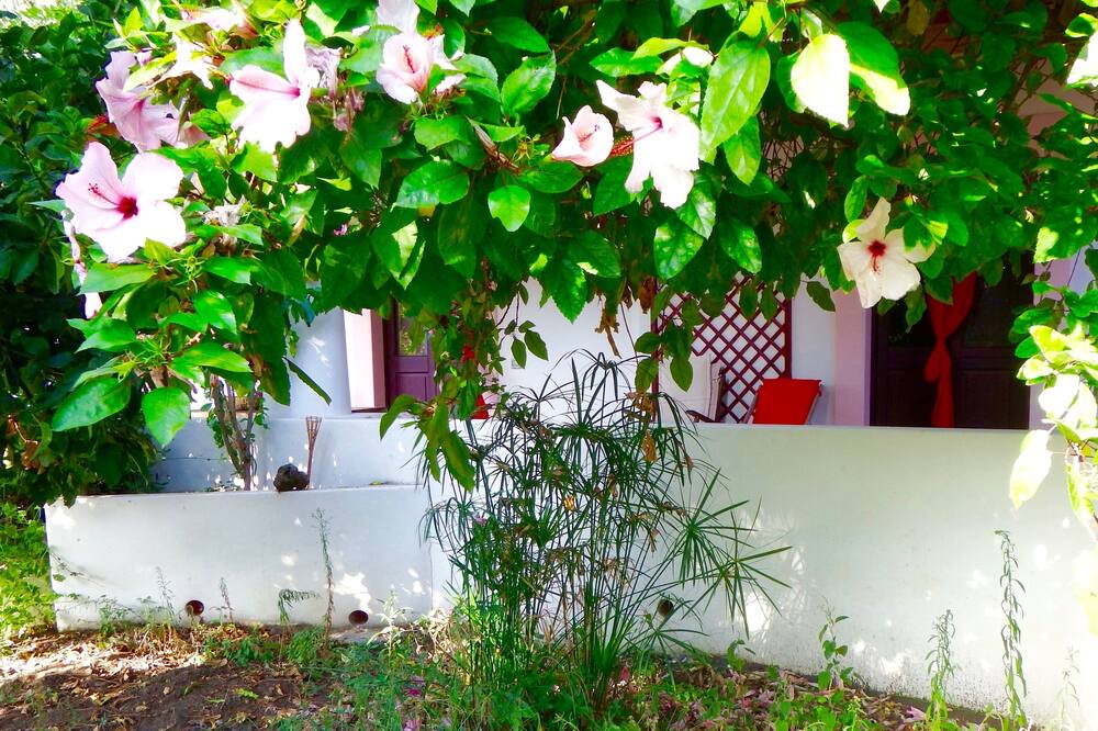 Photo of Outdoor in Piscita