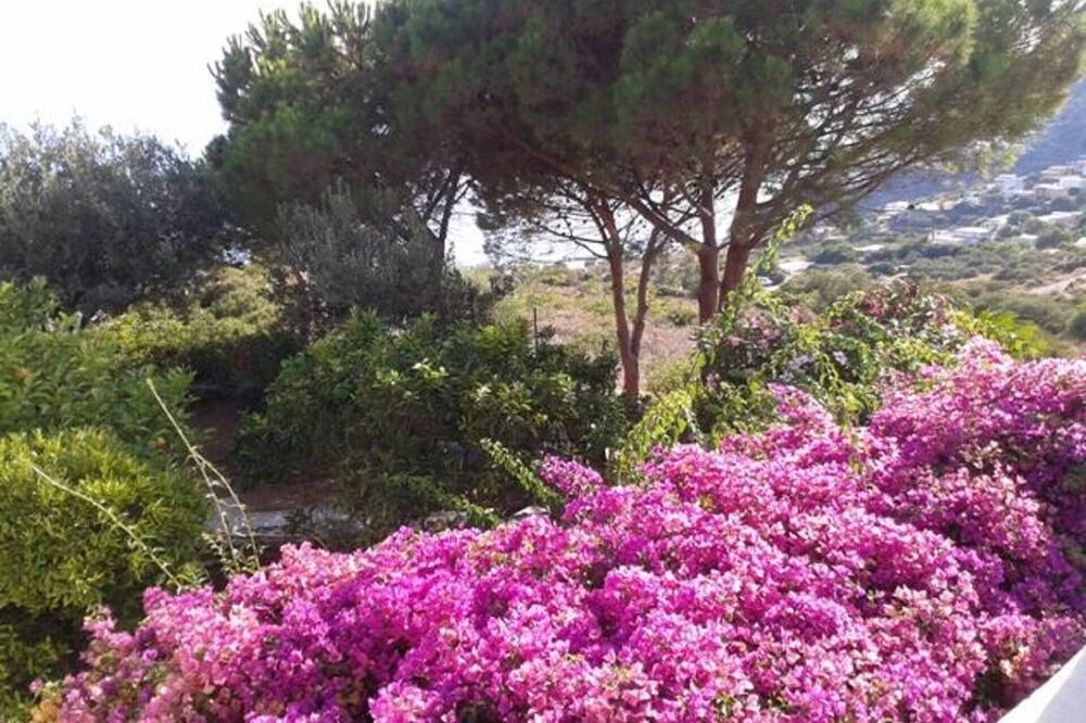 Photo of Outdoor in Filicudi Porto