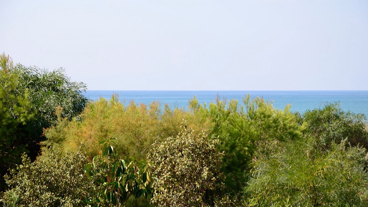 Photo of Others in Ispica
