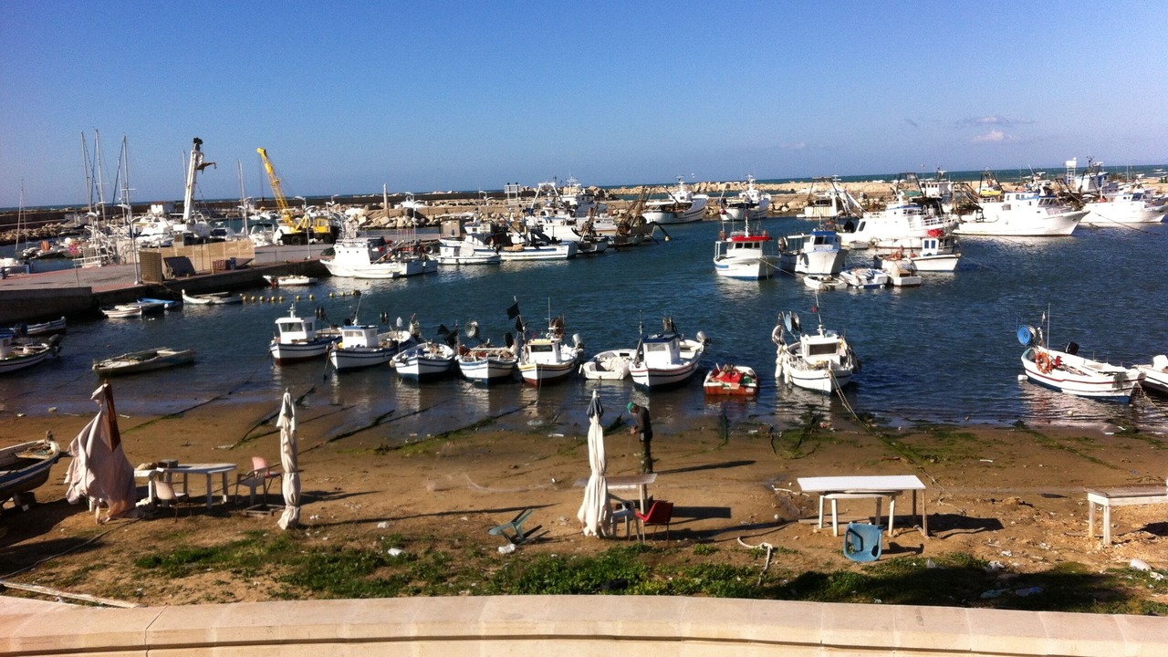 Photo of Others in Scoglitti