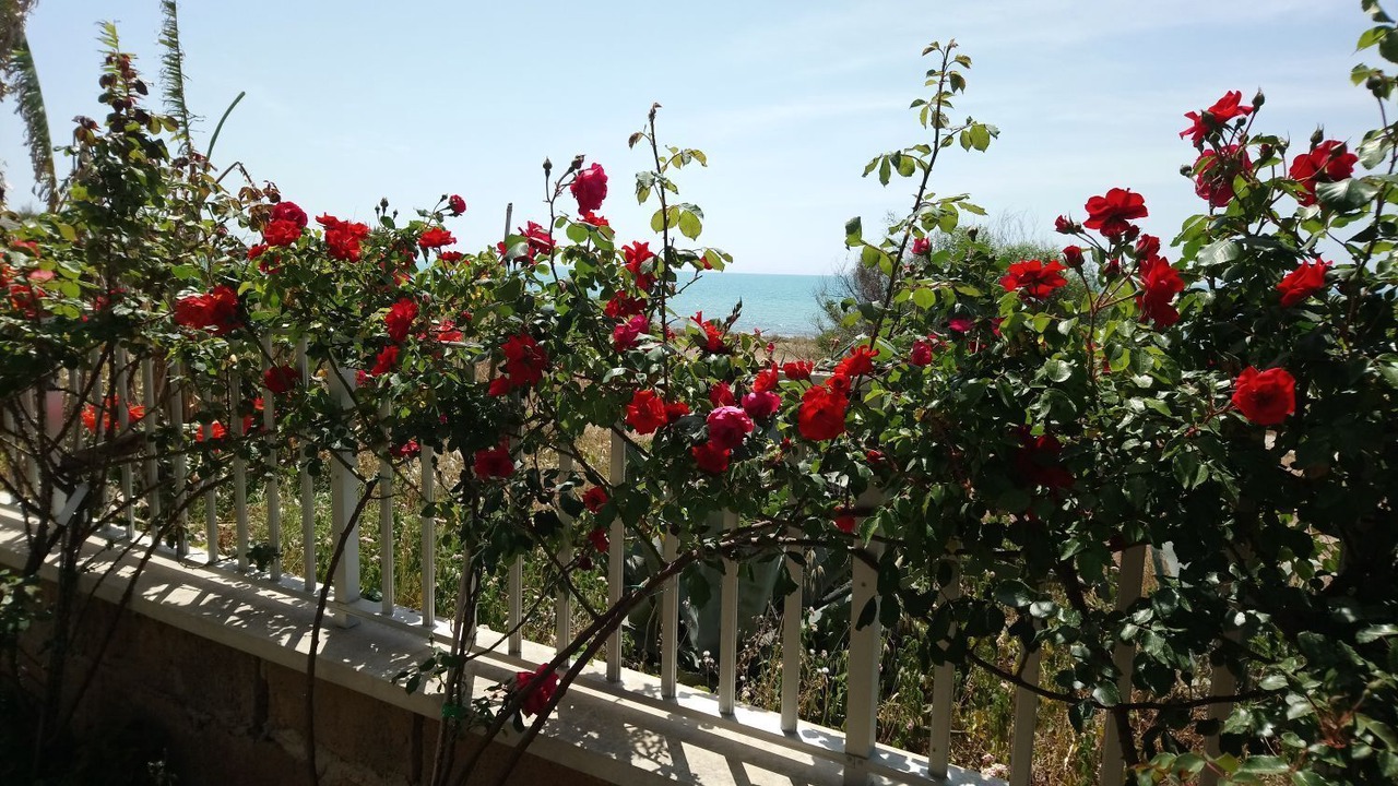 Photo of Outdoor in Marina di Modica
