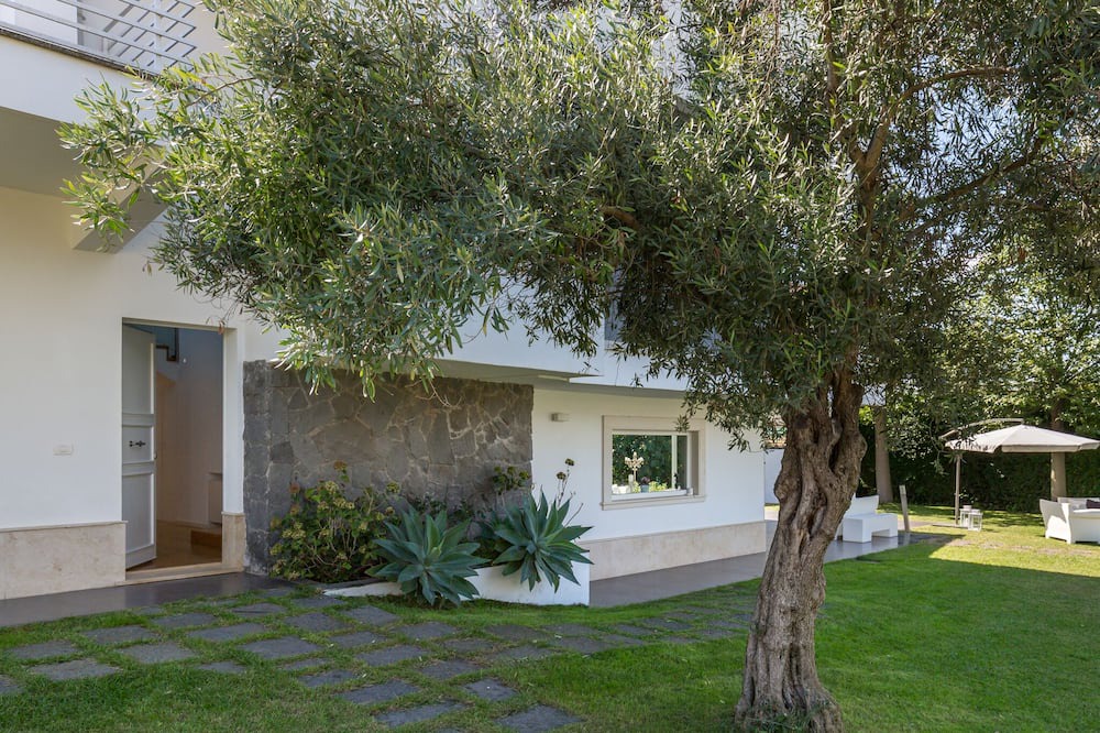Photo of Outdoor in Valverde