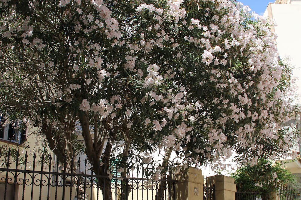 Photo of Outdoor in Capo Peloro