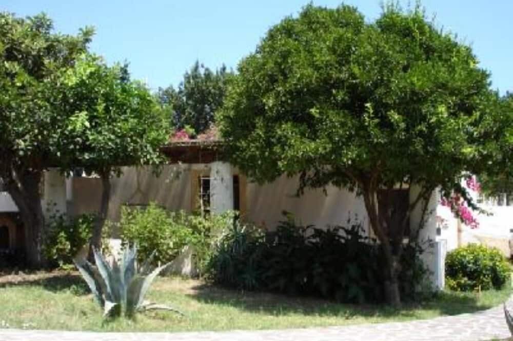Photo of Outdoor in Leni