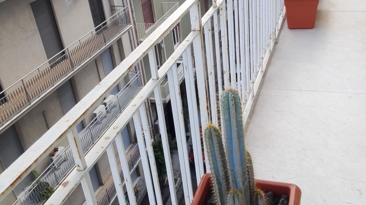 Photo of Outdoor in Picanello-Ognina-Barriera-Canalicchio