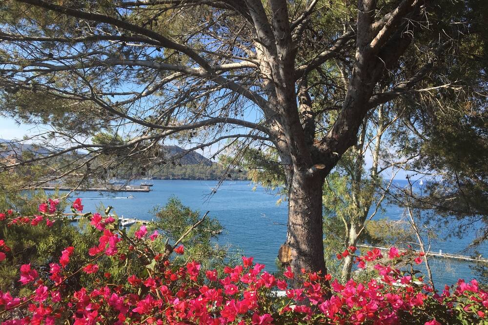Photo of Outdoor in Vulcano Porto