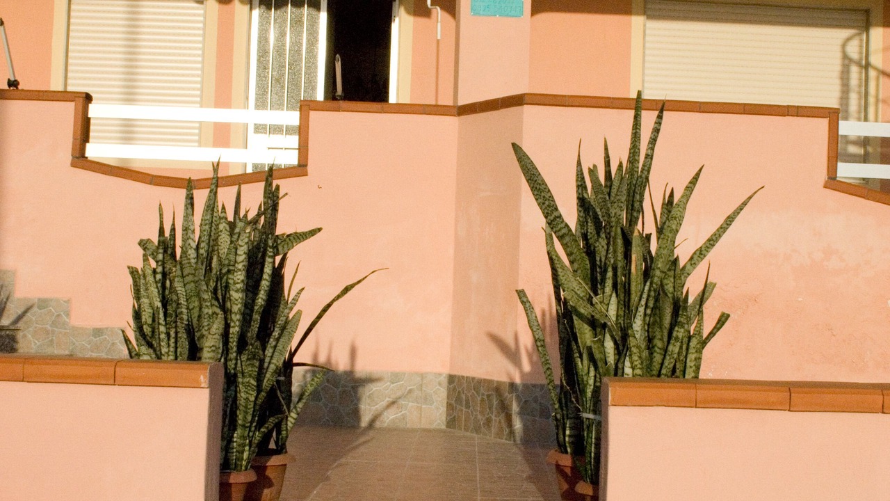 Photo of Outdoor in Seccagrande