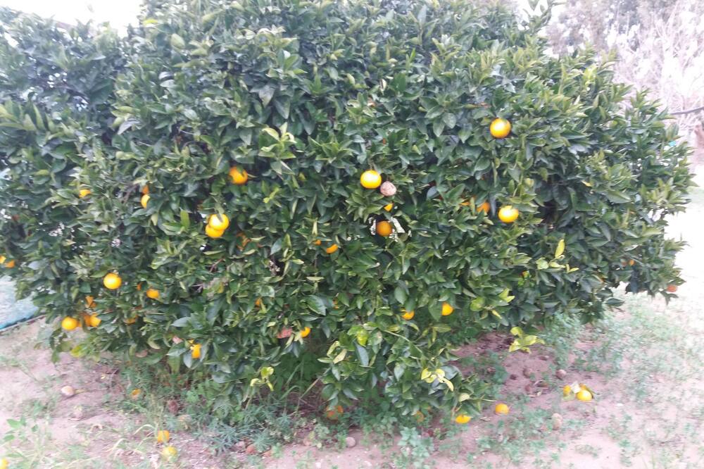 Photo of Outdoor in Santa Maria del Focallo