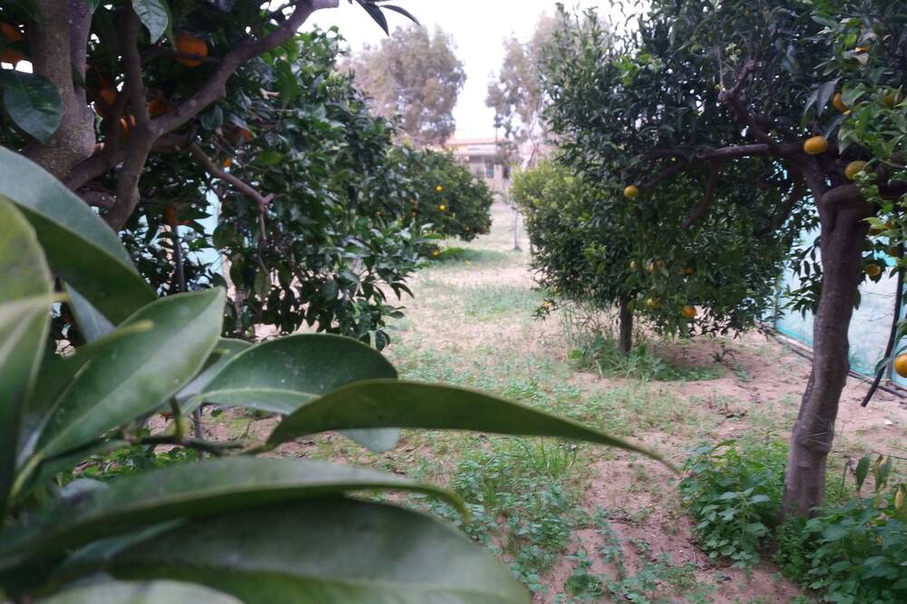 Photo of Outdoor in Santa Maria del Focallo