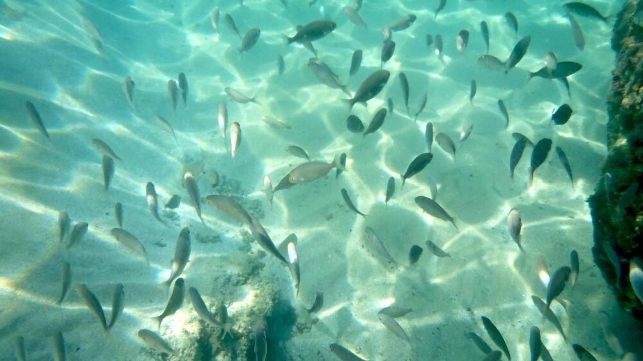 Photo of Outdoor in Marzamemi
