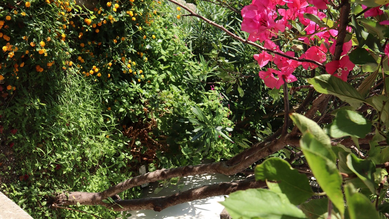 Photo of Outdoor in Malfa