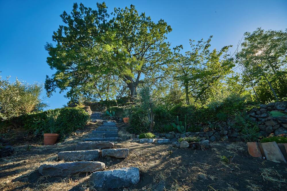 Photo of Outdoor in Sant'Alfio