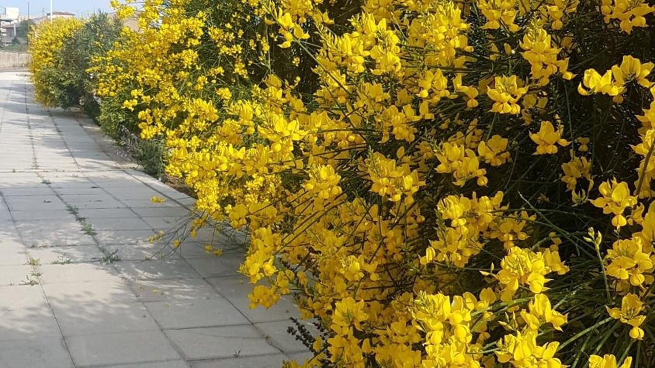 Photo of Outdoor in Gela